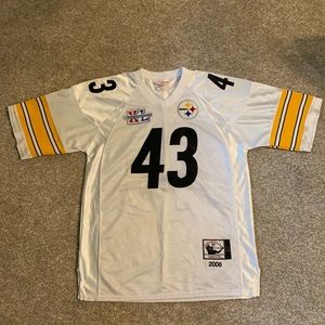 Troy Polamalu jersey